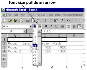 Font size list